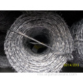 1.65mmx1.65mm Pagar Keselamatan Kawat Barbed Hot-Dipped Galvanized